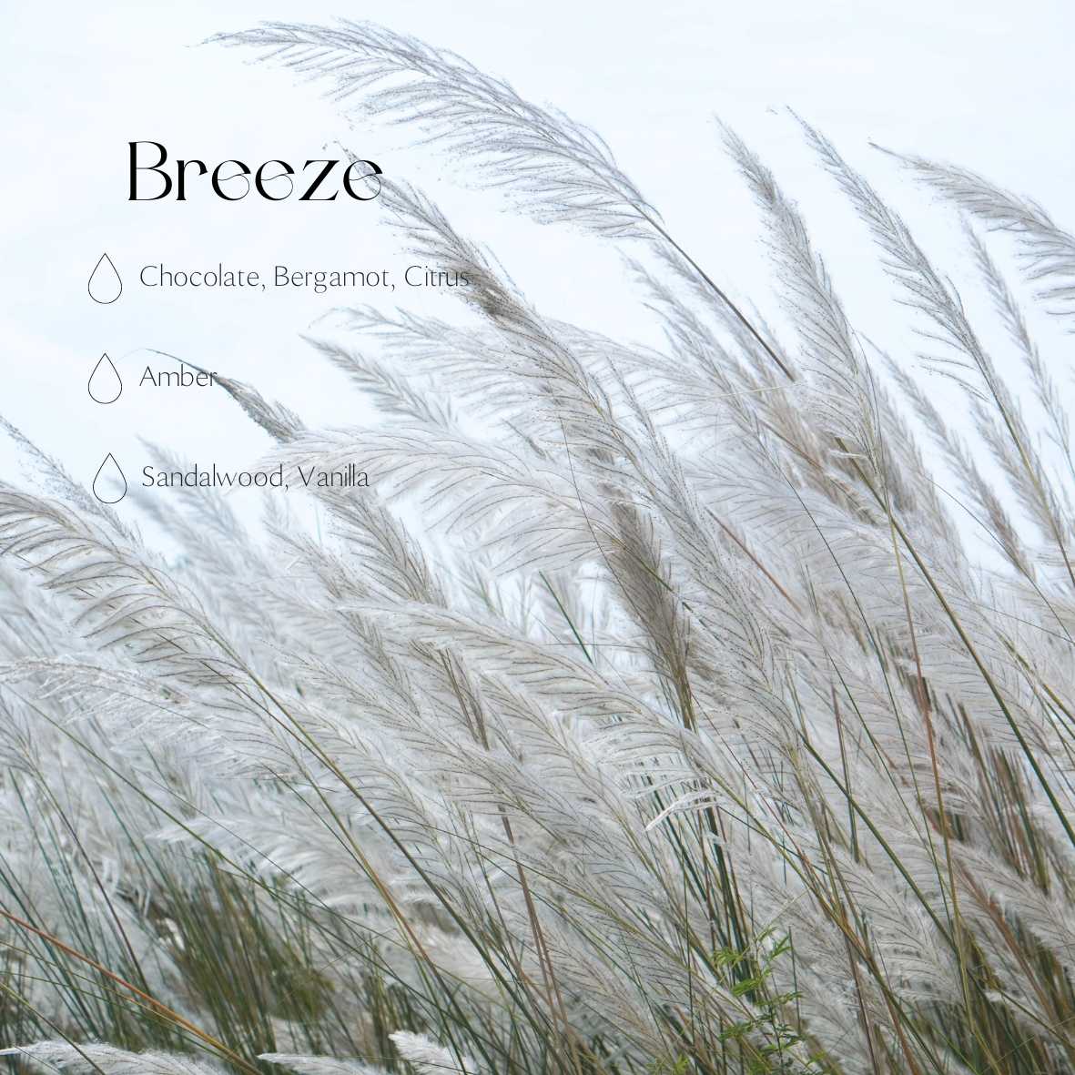 Autodiffuser - Brise
