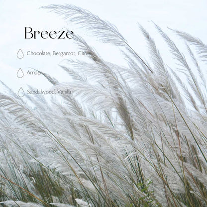 Autodiffuser - Brise