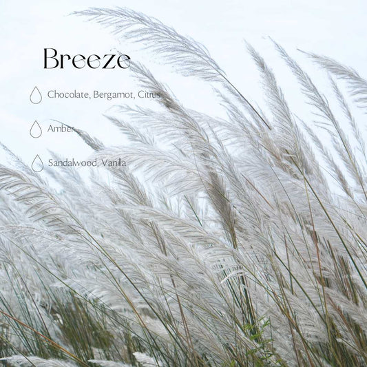 Autodiffuser - Brise