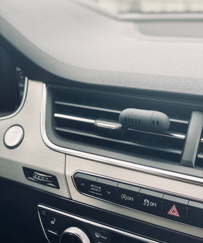Autodiffuser - Champagner - Rhabarber